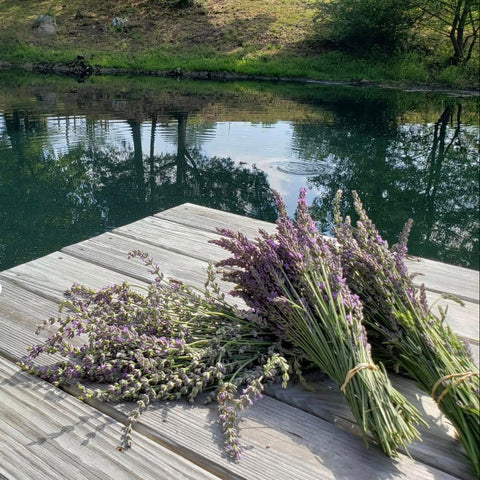 Bouquets of lavender and a cup with lemon design on a wooden dock by a pond.