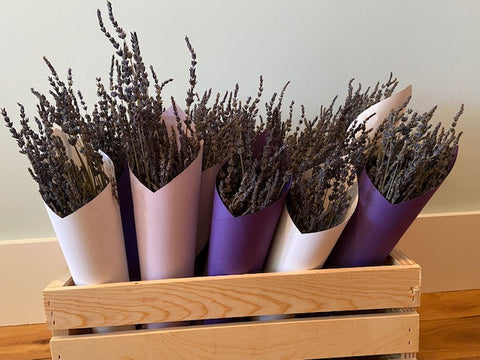 Dried Lavender Bundles